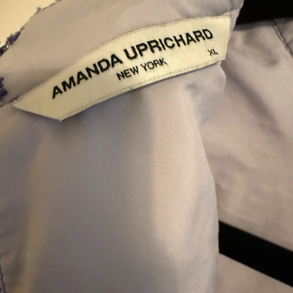 AMANDA UPRICHARD
Floral Lace Marshall Mini Dress - Picture 4 of 7